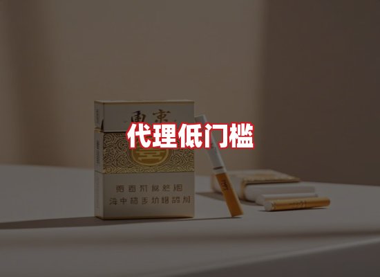 专业团队